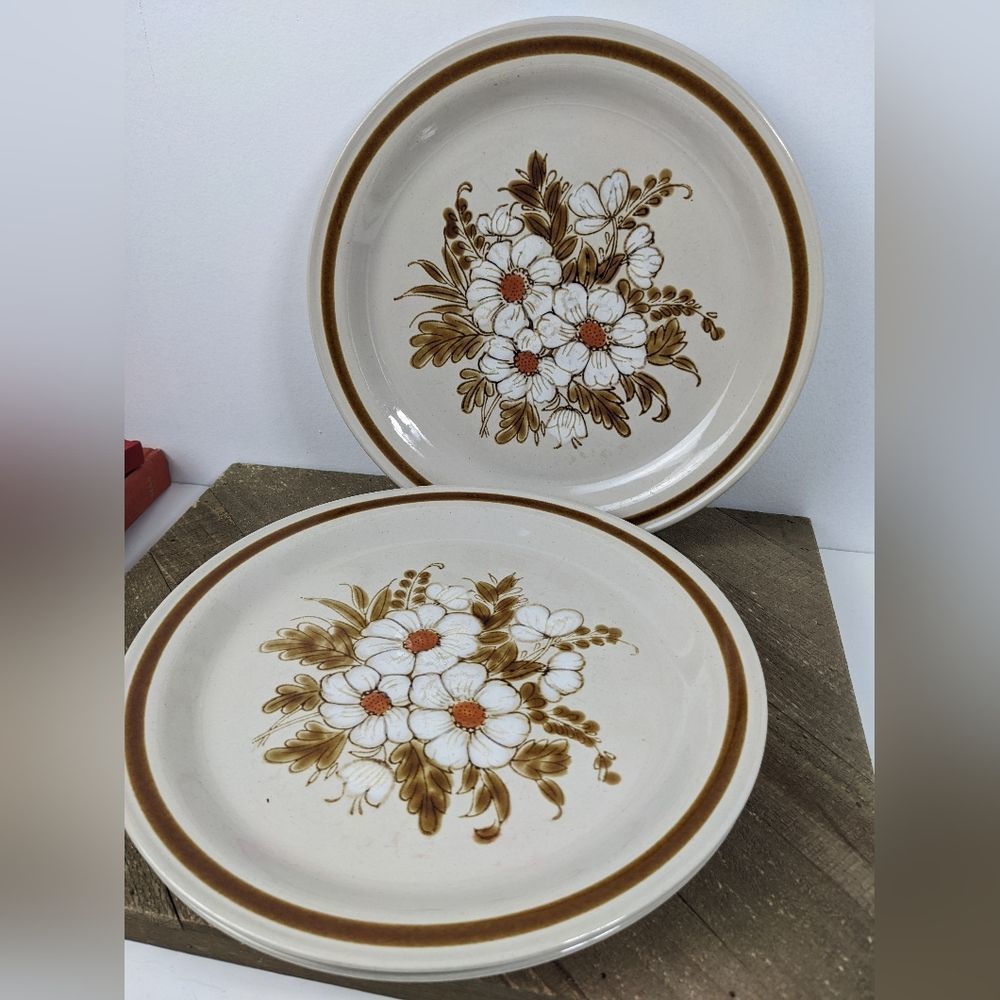 Mountain Wood collection stoneware dinner plates Dried Flowers